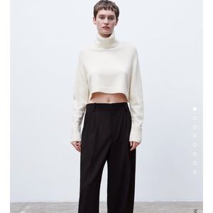Cropped Zara Turtleneck